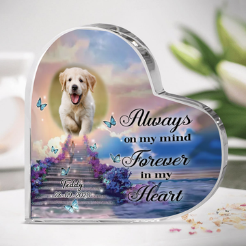 Acrylic Plaque Dog Gift Memorial - Always On My Mind Forever In My Heart - Dog Memorial Gifts For Men