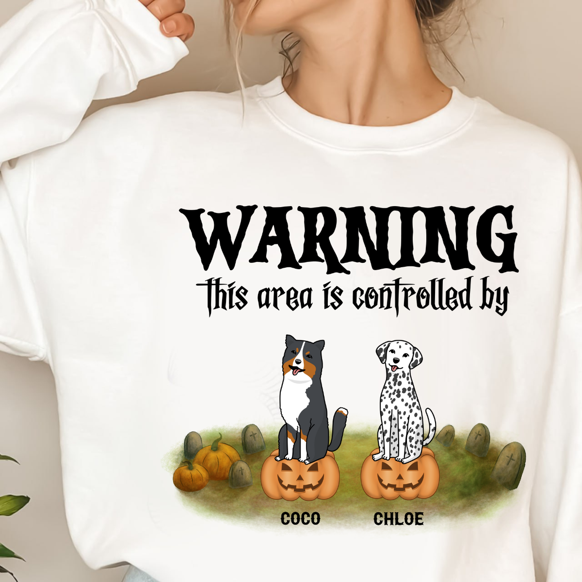 Warning This Area Is Controlled By Dog Personalized Sweatshirt Dog Lovers Sweatshirt Halloween Gift For Dog Lovers