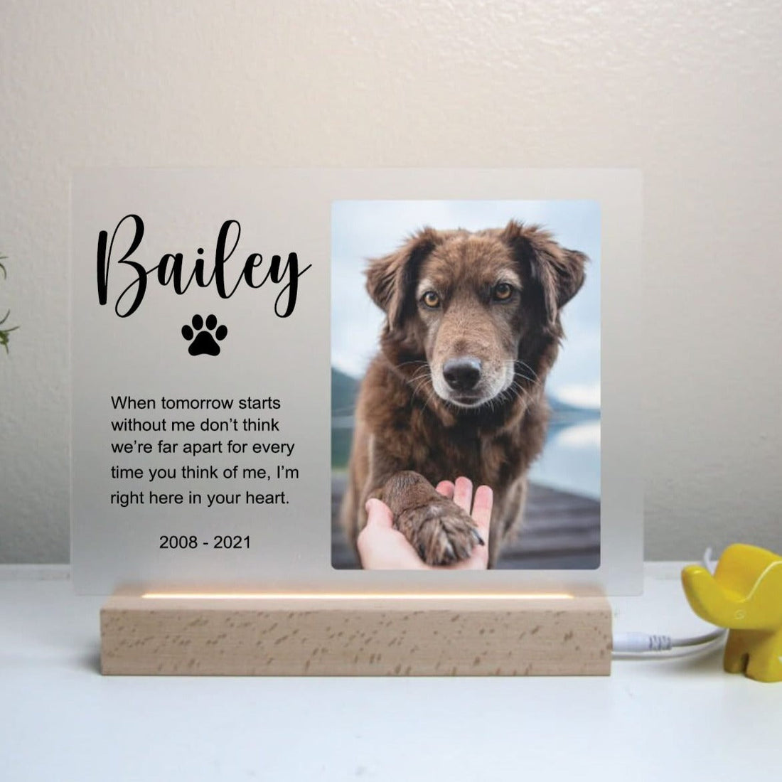 Pet Memorial Custom Photo LED Wooden Base, Pet Sympathy Gift, Personalized Gifts for Pet Loss