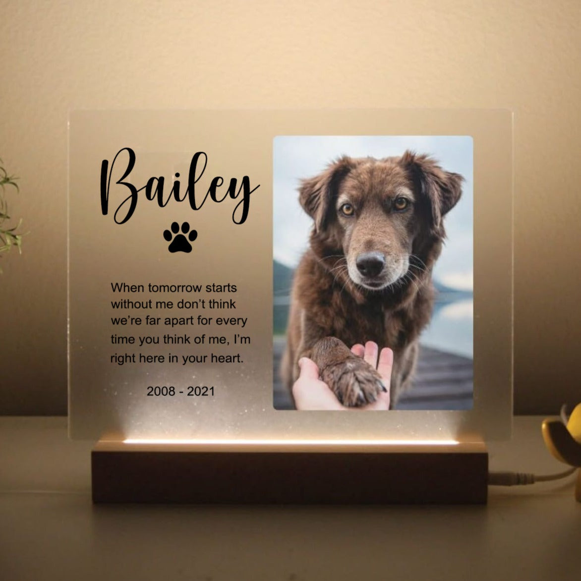 Pet Memorial Custom Photo LED Wooden Base, Pet Sympathy Gift, Personalized Gifts for Pet Loss