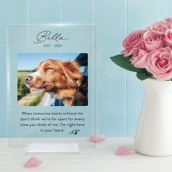 When the tomorrow starts without you Memorial Plaque | Personalized Gifts for Pet Loss | Custom Quote Plaque for Dog, Cat, Person