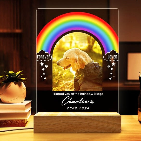 Rainbow Light Up Pet Memorial Plaque | Pet Memorial Night Light | Personalized Gifts for Pet Loss | Custom Pet Photo | Custom Pet Memorial Gifts