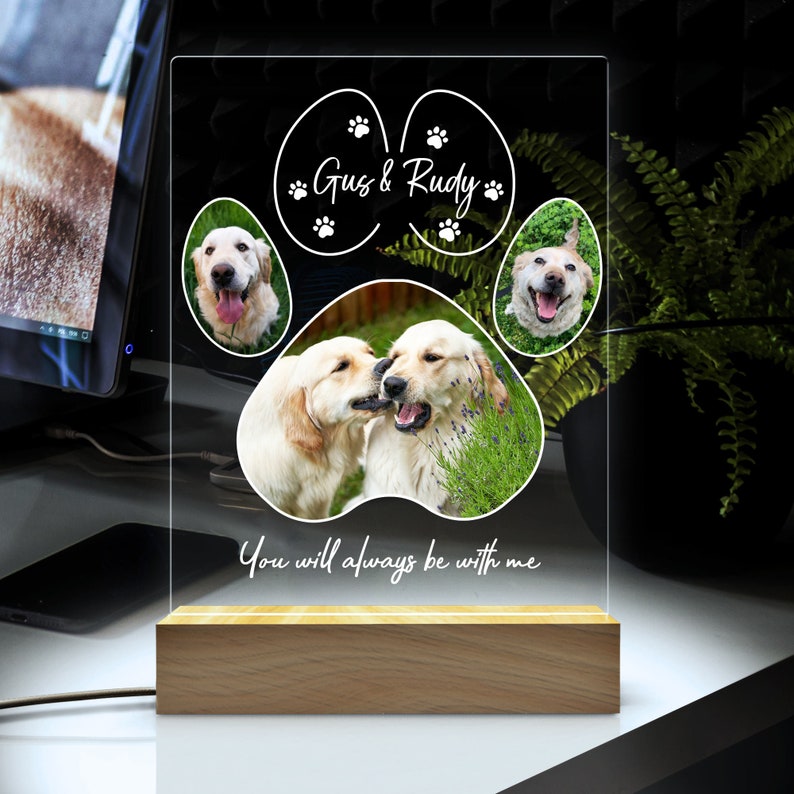 Pet Memorial Night Light, Custom Pet Plaque, Pet Night Light, Custom Pet Photo, Pet Memorial Frame, Gifts for Pets, Cat Dog Loss Gift