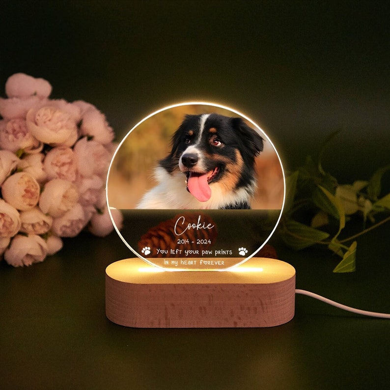 Personalized Pet Memorial LED Night Light,Custom Pet Loss Frame,Pet Photo Light,Dog Memorial Gift,Dog Cat Loss Sympathy Gift,Dog Mom Gifts