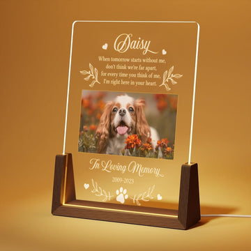 Personalized Light Up Pet Memorial Gift LED Pet Frame Pet Memorial Keepsake Pet Bereavement Gift Pet Loss Sympathy Gift.