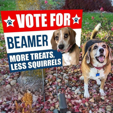 Pet Political, Vote For My Pet, Personalized Yard Sign, Custom Pet Political, Funny Election Sign, Gift For Dog Lover, Cat Lover