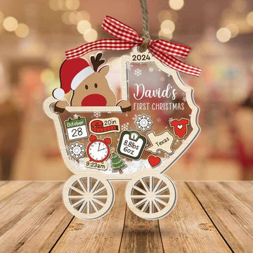 Personalized Baby's First Christmas Ornament 2024, Custom New Baby Gift, 4D Shake Babies Ornament, Baby Shower Gift, Baby Name Xmas Keepsake