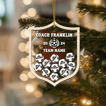 Personalized Soccer Team Shake Ornament, Custom Soccer Player Ornament, Soccer Coach Gift, Soccer Team Keepsake, Soccer Christmas Ornament