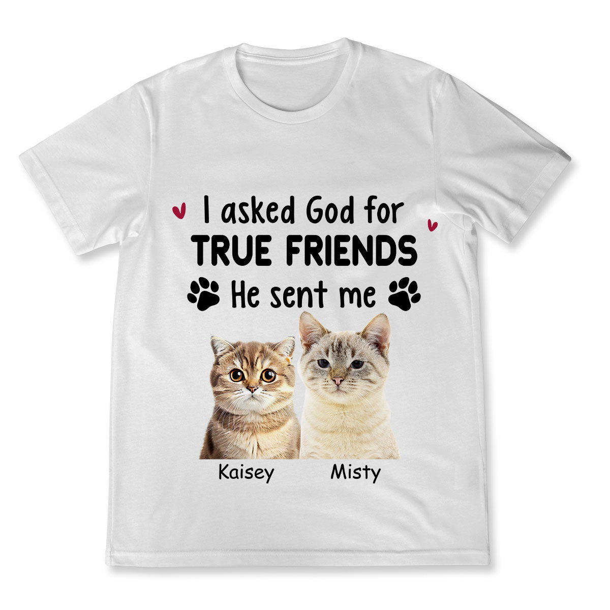 Asked God For A True Friend - Personalized Custom Cat